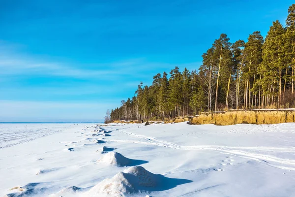 冬にノボシビルスク貯水池のオビ湾の海岸 Berdsk ノボシビルスク地域 ロシア 西シベリア — ストック写真