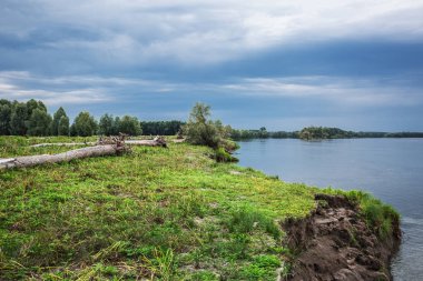 Ağaçlar bahar sel nehir banka atılmış kalıntıları. OB nehir, Novosibirsk bölgesi, Suzun bölgesi, Batı Sibirya, Rusya Federasyonu