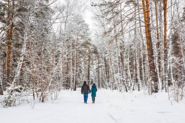 Genç bir çift karla kaplı ormanda yürür. Novosibirsk bölgesi, Batı Sibirya, Rusya Federasyonu