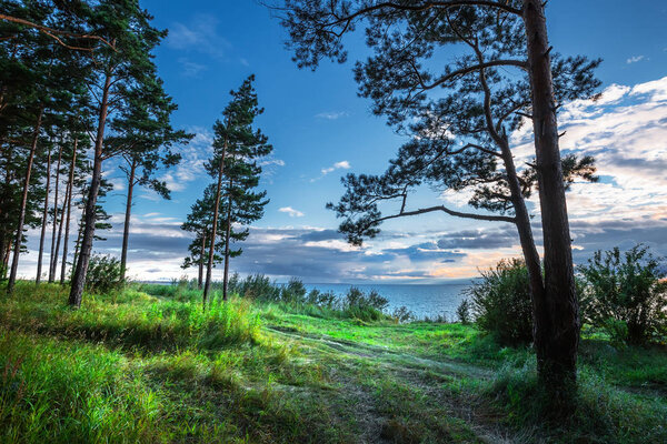 The trail going along the coast of the Ob sea. Novosibirsk region, Western Siberia, Russia