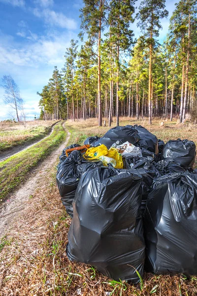 Black plastic bags of garbage in the woods. Suburban cleaning debris from the forest. Berdsk, Novosibirsk region, Western Siberia, Russia