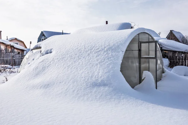 Sneeuw Geveegd Broeikasgassen Gemaakt Van Polycarbonaat Het Land Antwerp Novosibirsk — Stockfoto