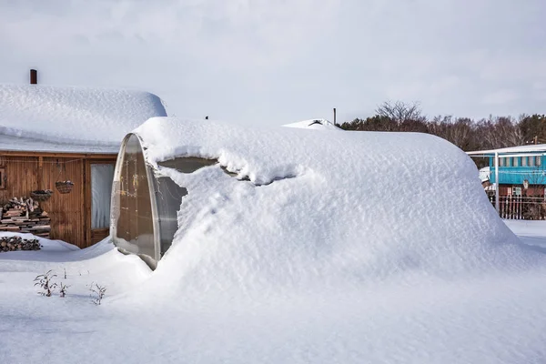 Sneeuw Geveegd Broeikasgassen Gemaakt Van Polycarbonaat Het Land Antwerp Novosibirsk — Stockfoto