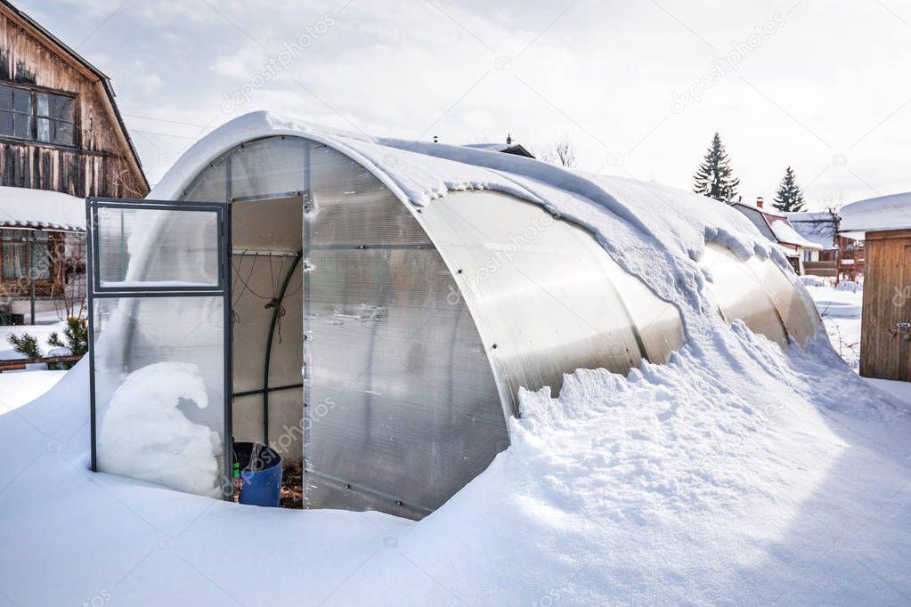 Snow-swept greenhouse made of polycarbonate in the country. Berdsk, Novosibirsk region, Western Siberia, Russia