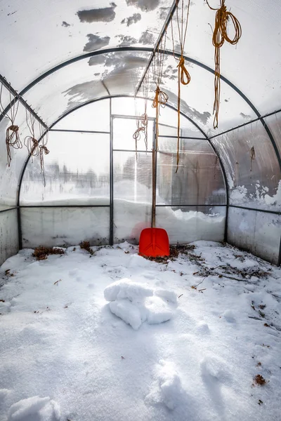 Snow Scattered Greenhouse Moisten Soil Berdsk Novosibirsk Region Western Siberia — Stock Photo, Image