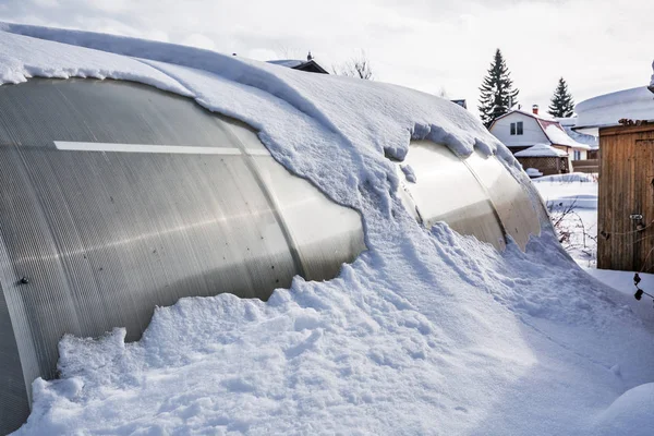 Snow Greenhouse Polycarbonate Berdsk Novosibirsk Region Western Siberia Russia — Stock Photo, Image