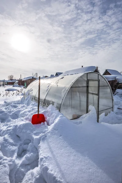 Remoção Neve Estufa Policarbonato Inverno Berdsk Região Novosibirsk Sibéria Ocidental — Fotografia de Stock