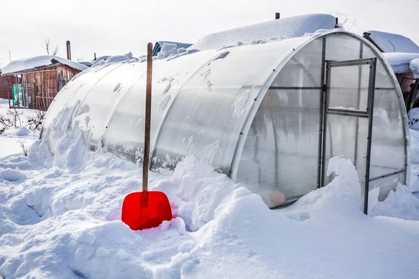 Eliminación Nieve Del Invernadero Policarbonato Invierno Berdsk Región Novosibirsk Siberia —  Fotos de Stock