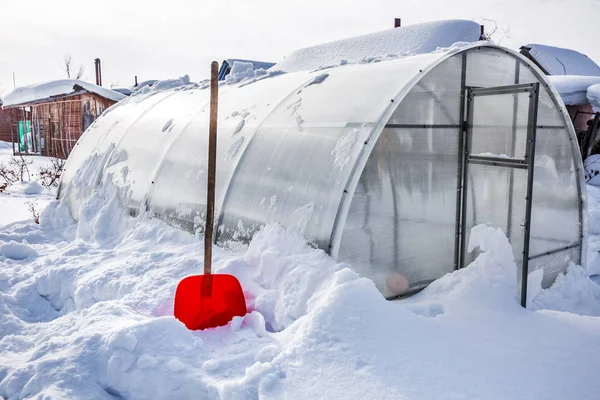 Remoção Neve Estufa Policarbonato Inverno Berdsk Região Novosibirsk Sibéria Ocidental — Fotografia de Stock