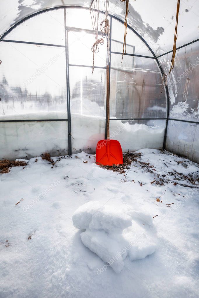 Snow scattered in the greenhouse to moisten the soil. Berdsk, Novosibirsk region, Western Siberia, Russia