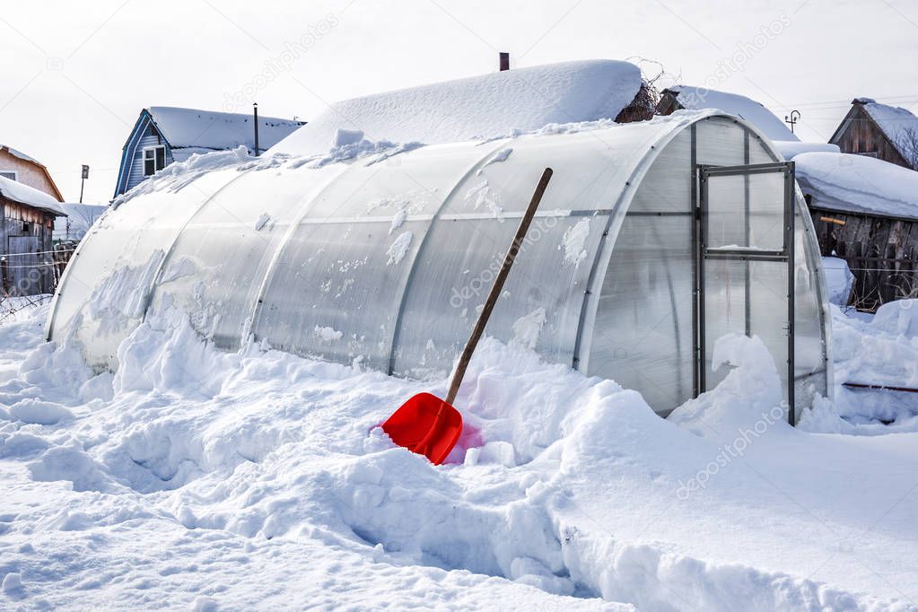 Snow removal from polycarbonate greenhouse in winter. Berdsk, Novosibirsk region, Western Siberia, Russia