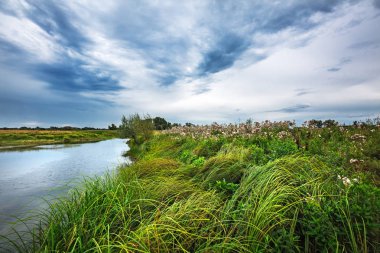 Nehri (Mereda), Ob. Batı Sibirya'nın bir kolu