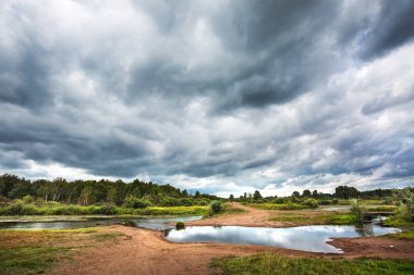 Nehirli yaz manzarası. Batı Sibirya