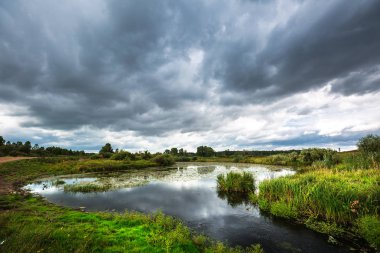 Nehirli yaz manzarası. Batı Sibirya
