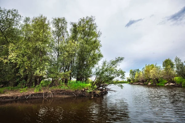 Meret (Mereda), een zijrivier van de Ob. West-Siberië — Stockfoto