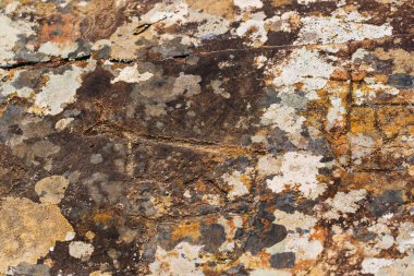 Kaya boyama. Gorny Altay, Rusya Federasyonu