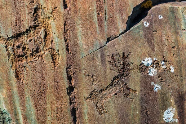 바위 그림입니다. 고니 알타이, 러시아 — 스톡 사진