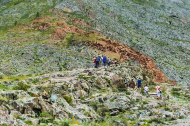 Kaya resimleri arayan bir grup turist. Gorny Altay, Rusya Federasyonu