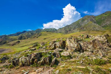 Dağ manzarası. Gorny Altai, Rusya Federasyonu