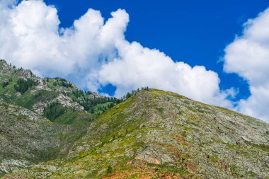 Dağ manzarası. Gorny Altai, Rusya Federasyonu