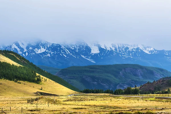 Yol, Kurai bozkır 'a gidiyor. dağ Altai — Stok fotoğraf