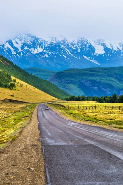 Cesta k kurai stepi. Horská oblast Altai — Stock fotografie