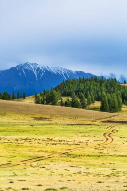 Kurai bozkır ve Kuzey-Chuya Sıradağları. Dağ Altai