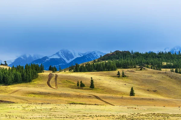 쿠라이 대초원과 북추야 산맥. 마운틴 알타이 — 스톡 사진