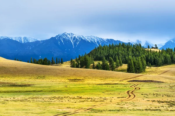 Stepowy kurai i pasmo górskie północ-chuya. Szczyt Altai — Zdjęcie stockowe
