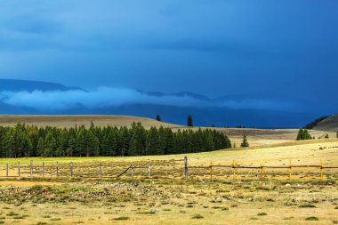Kurai bozkır ve Kuzey-Chuya Sıradağları. Dağ Altai