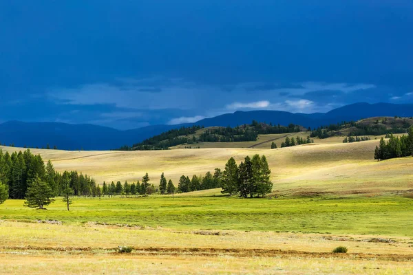 Kurai bozkır ve Kuzey-Chuya Sıradağları. Dağ Altai