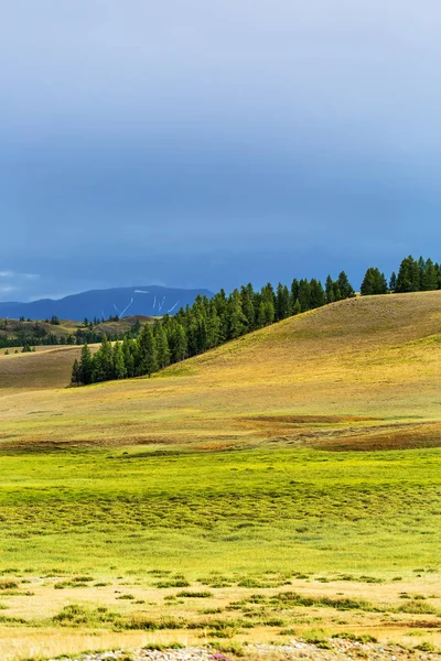 Steppa Kurai e la catena montuosa Nord-Chuya. montagna Altai — Foto Stock