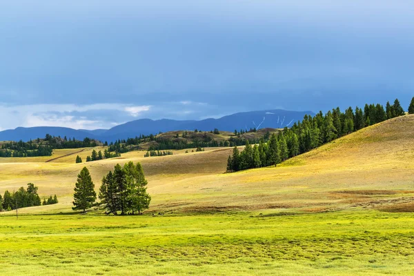 Kurai bozkır ve Kuzey-Chuya Sıradağları. Dağ Altai