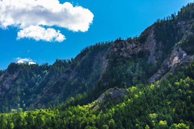 Yaz aylarında dağ manzaralıdır. Dağ Altai