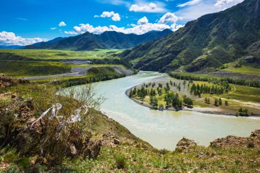 Chui-oozy (nehirler Chuya ve Katun konfluence). Altay 