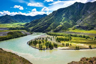 Chui-oozy (nehirler Chuya ve Katun konfluence). Altay 