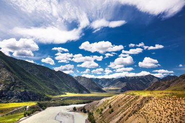 Chui-oozy (nehirler Chuya ve Katun konfluence). Altay 