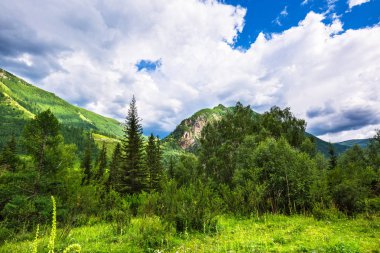 Dağ manzarası. Altai Republic, Rusya Federasyonu