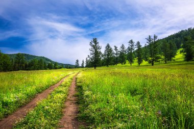 Dağ yolu. Gorny Altai, Rusya Federasyonu