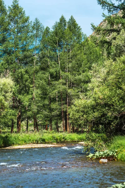 Rio Tuekta. Ongudai distrito, Altai República, Rússia — Fotografia de Stock