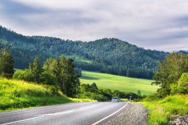 Yaz aylarında dağ manzarası. Altai Cumhuriyeti, Güney Sibirya, Rus