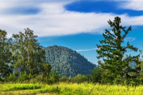 Paisaje de montaña en verano. República de Altai, Siberia del Sur, Rus — Foto de Stock