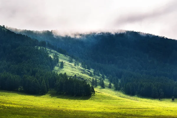 Paisaje de montaña en verano. República de Altai, Siberia del Sur, Rus — Foto de Stock