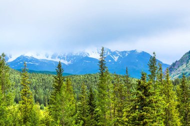 Kuzey-Chuyskiy Tepesi. Gorny Altai, Rusya Federasyonu