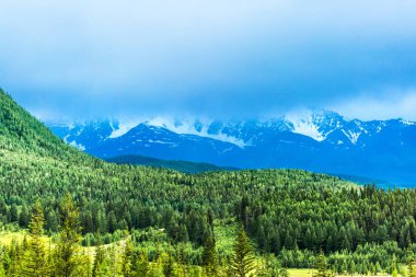 Kuzey-Chuyskiy Tepesi. Gorny Altai, Rusya Federasyonu