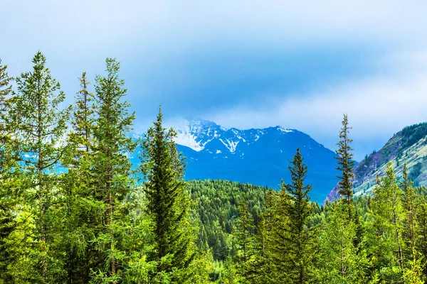 La cordillera de Chuyskiy Norte. Gorny Altai, Rusia — Foto de Stock