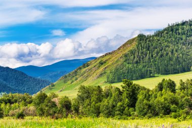 Taiga ile Altai dağ manzara. Altai Republic, Güney siber