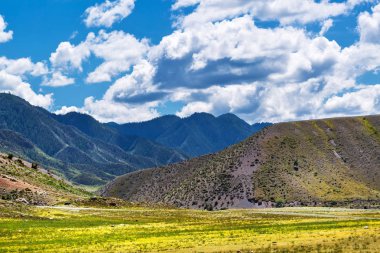 Sıradağlar ile yarı çöl. Altai Republic, Güney Sibirya,