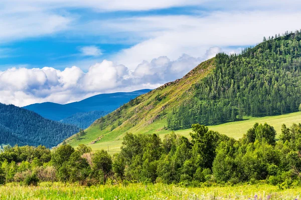 Horská krajina Altai s taigou. Altajská republika, Jižní Síber — Stock fotografie