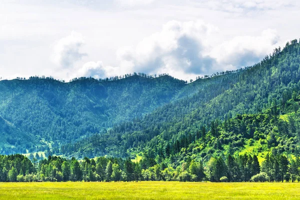 Paisaje montañoso Altai con taiga. República de Altai, Siber del Sur — Foto de Stock